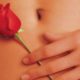 Citation American Beauty