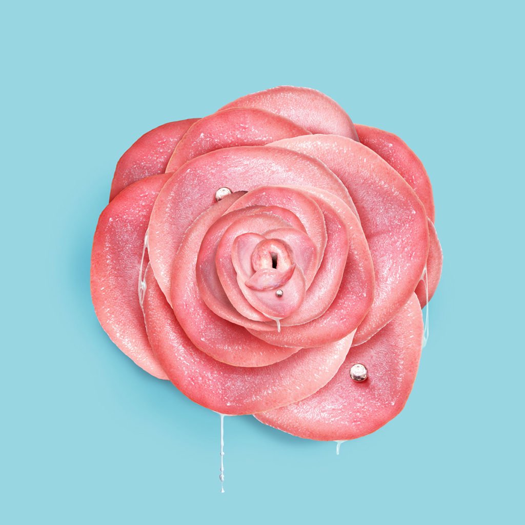 Montages photos d'une rose en pétales de langues par Artem Pozdnyakov 360Brain