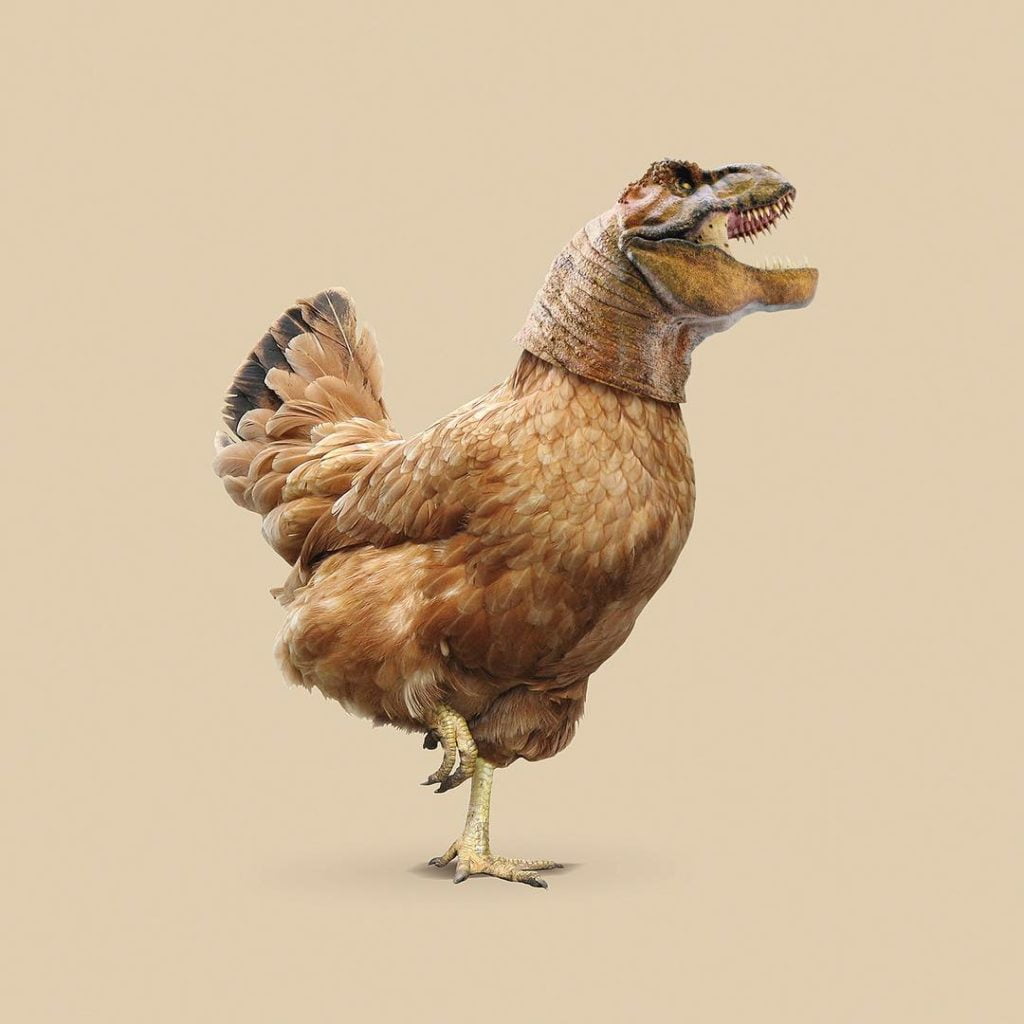 poulet T-Rex