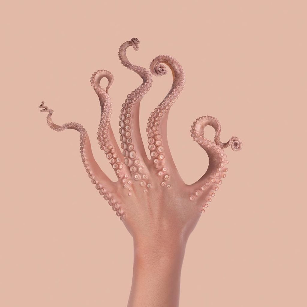 main tentacules