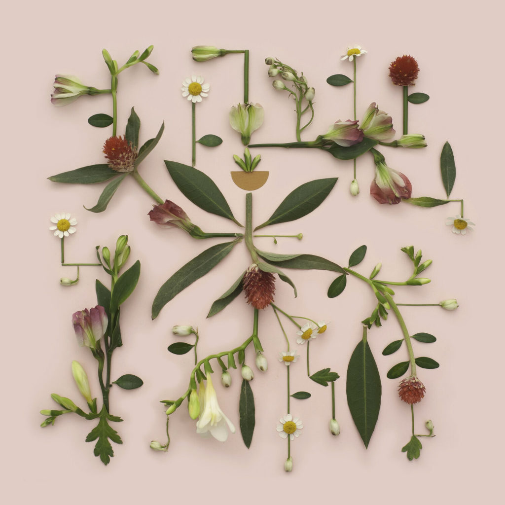 Kristen Meyer botanicals