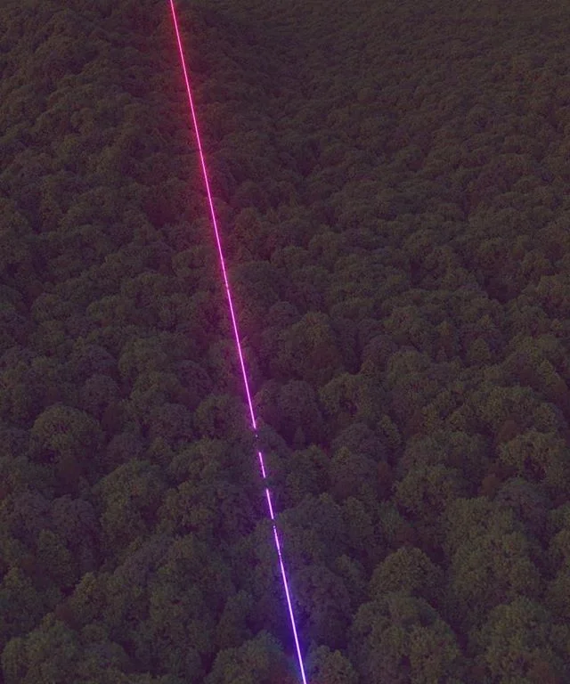 dovneon foret