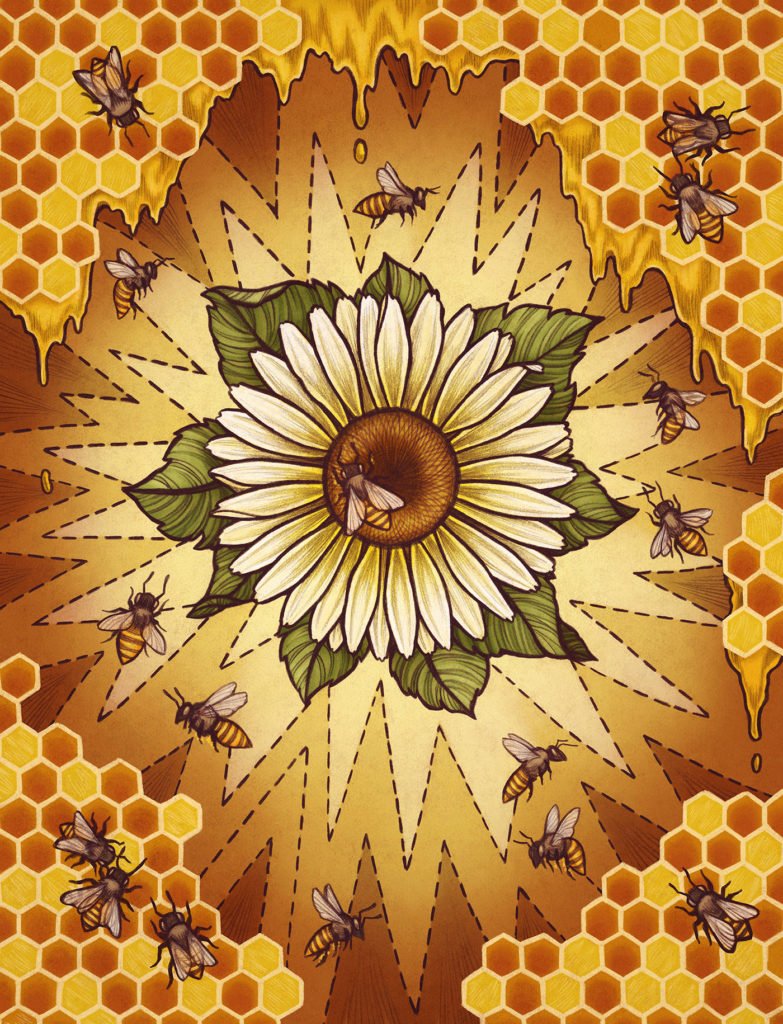Abeilles sur tournesol bestiaire illustré