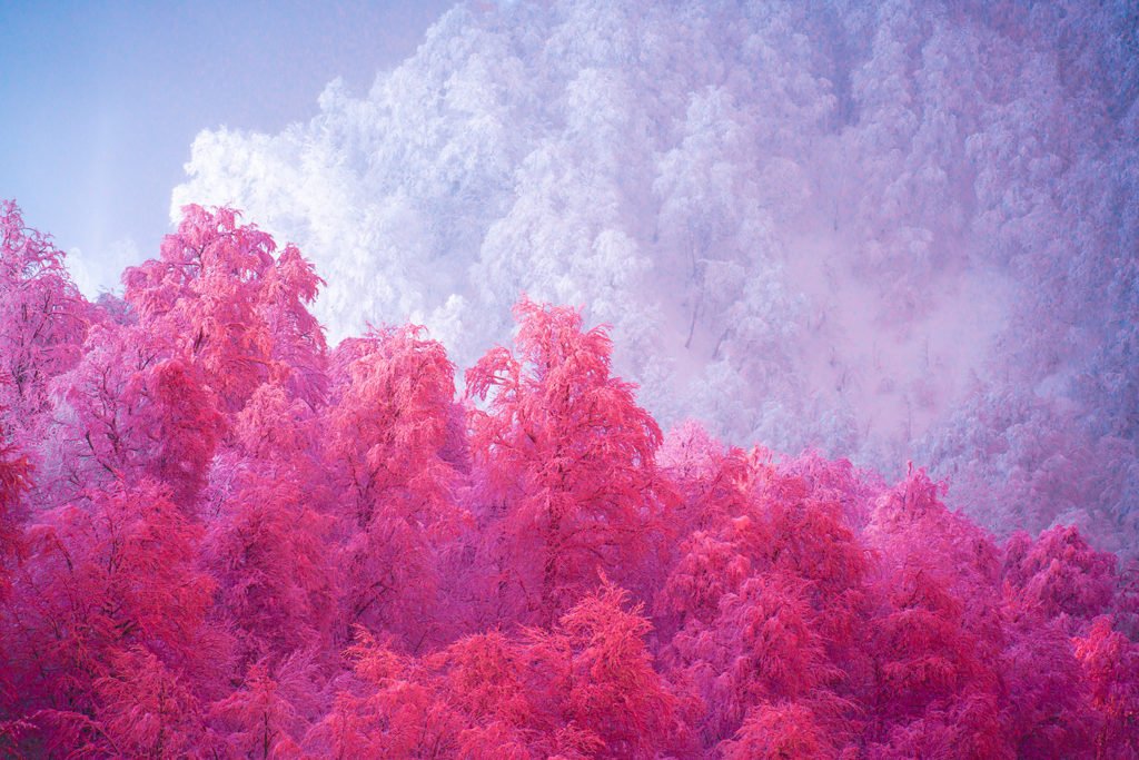 Thisset