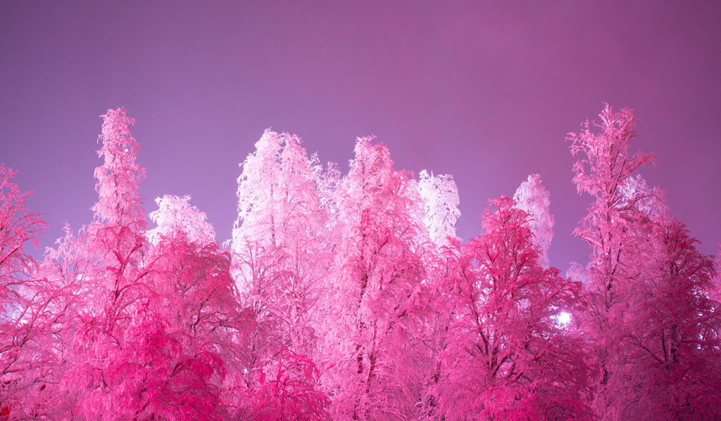 Thisset