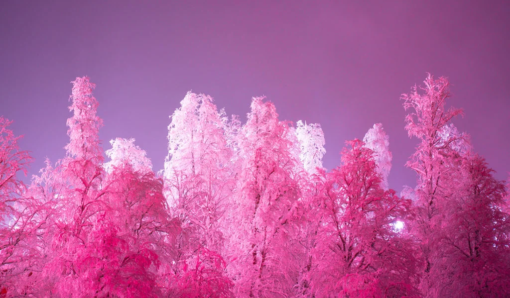Thisset