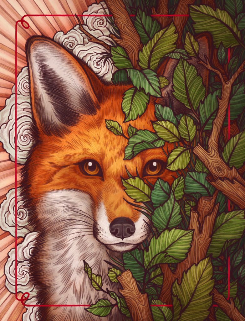 Renard derrière les feuilles