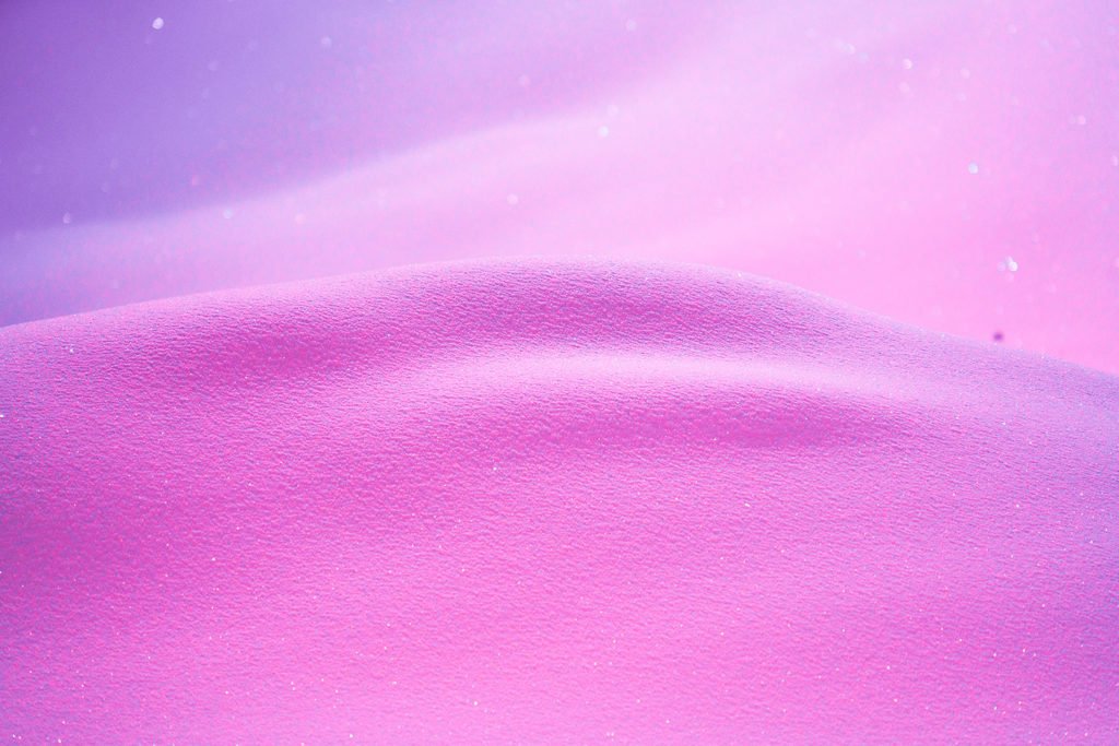 Pastel rose photo