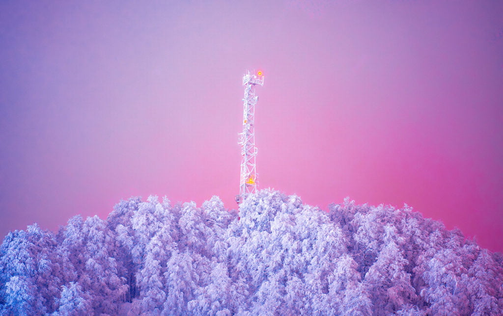 Sweet Winter
