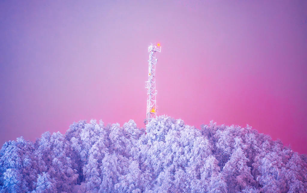 Sweet Winter