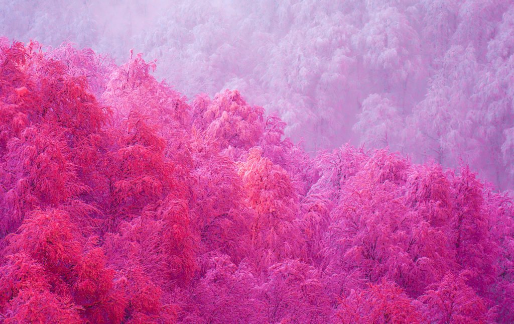thisset