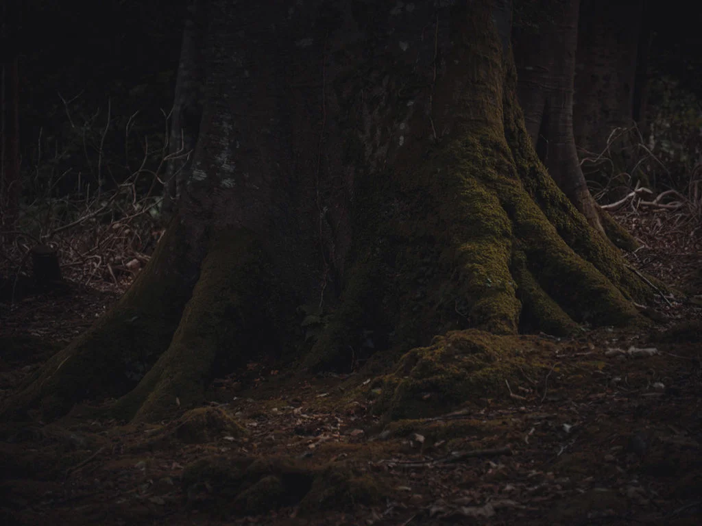 Dark Nature