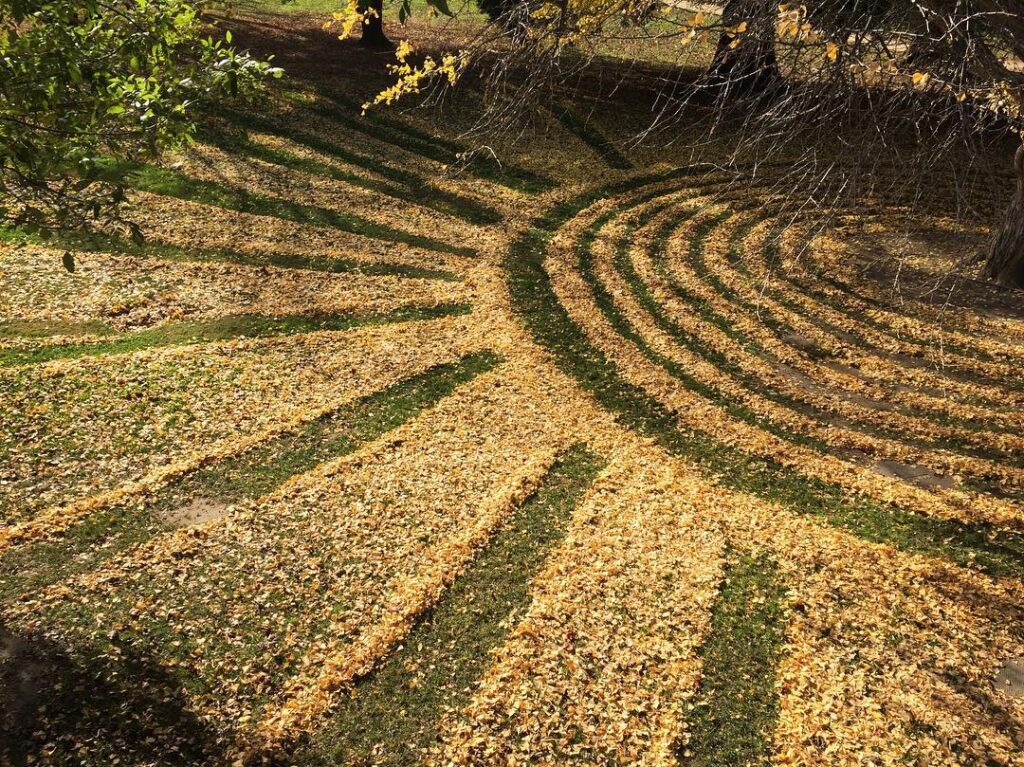 Art feuille automne