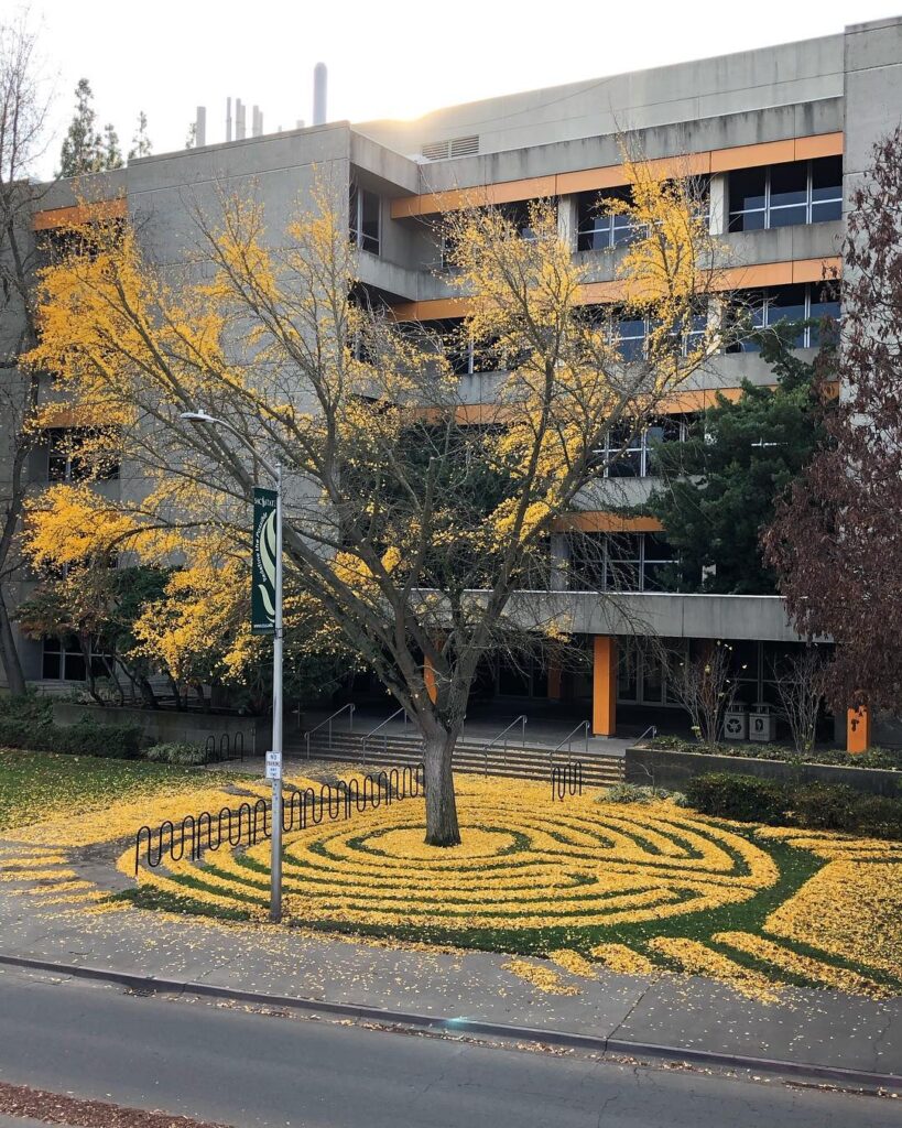 Art feuille automne
