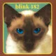 L'album de la semaine : Chesire Cat - Blink-182