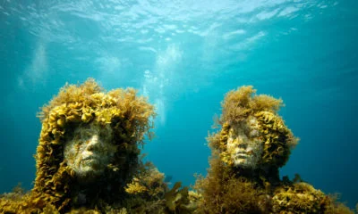 Les sculptures sous-marines de Jason deCaires Taylor