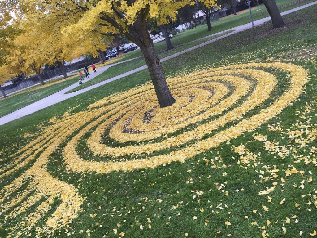 Feuilles jaunes automne art