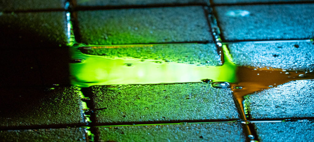 Regular Rain thisset