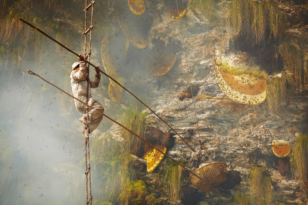 Andrew Newey chasseur de miel au Nepal