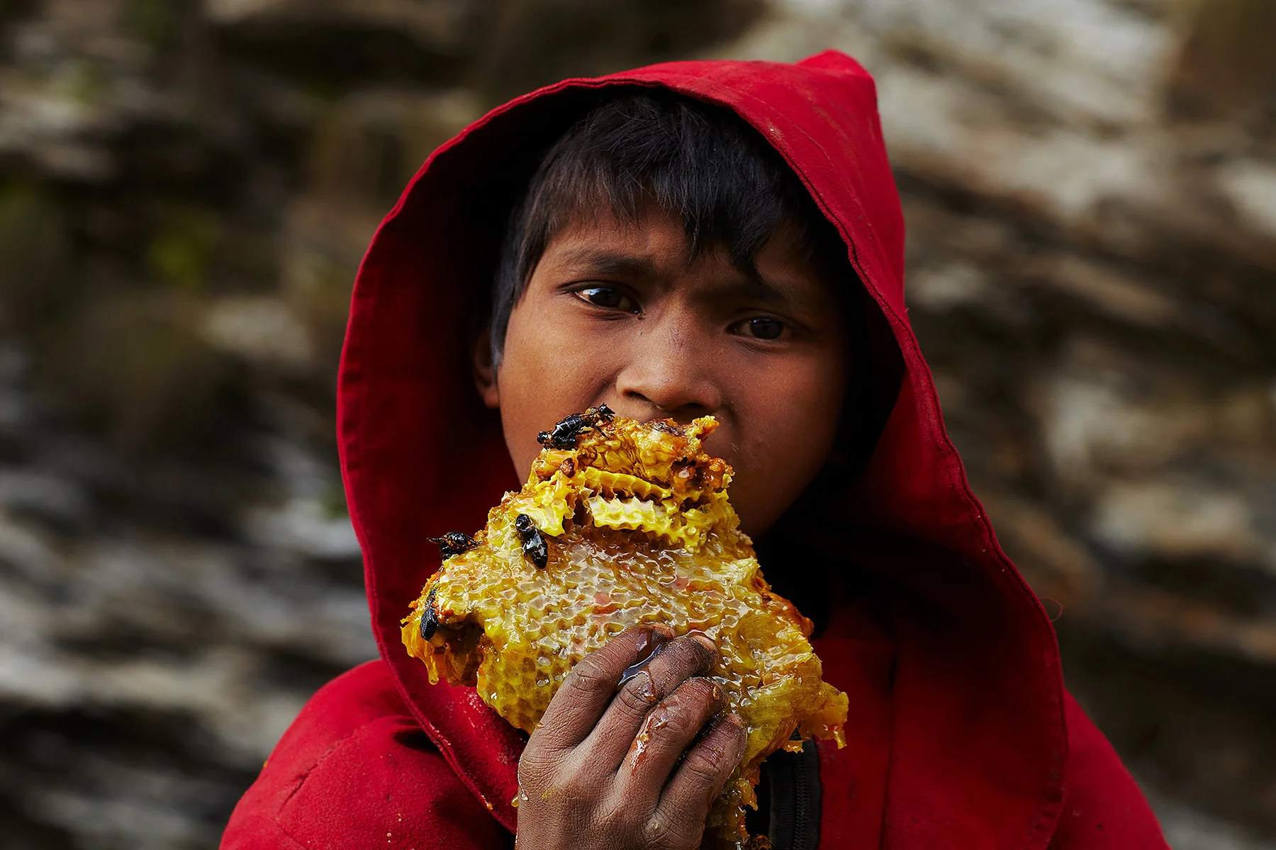 Enfant tenant un rayon de miel au Népal photographié par Andrew Newey