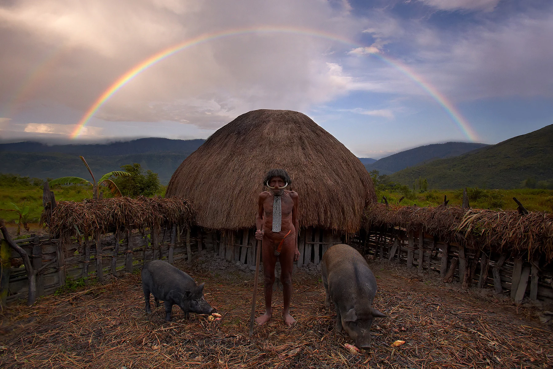 Habitat traditionnel dans les hautes terres de Papouasie occidentale par Andrew Newey