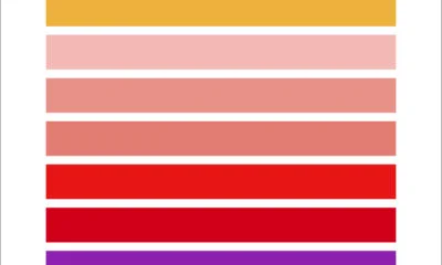 Les couleurs des films par Hyo Taek Kim