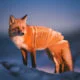 Les animaux chimériques de Ronald Ong