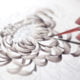 Les illustrations fleuries de Lena Limkina