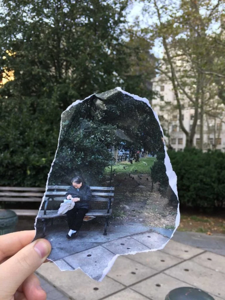 Les combinaisons de photos et d’images de Kalen Hollomon