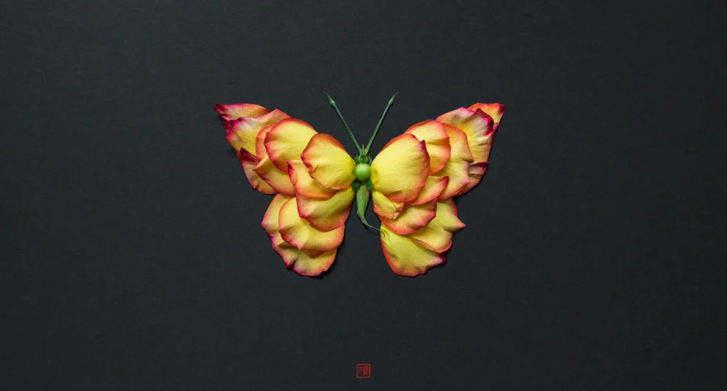 Insecte végétal