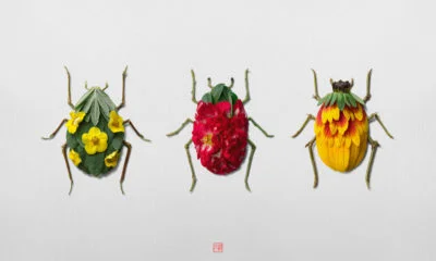Les insectes végétaux de Raku Inoue