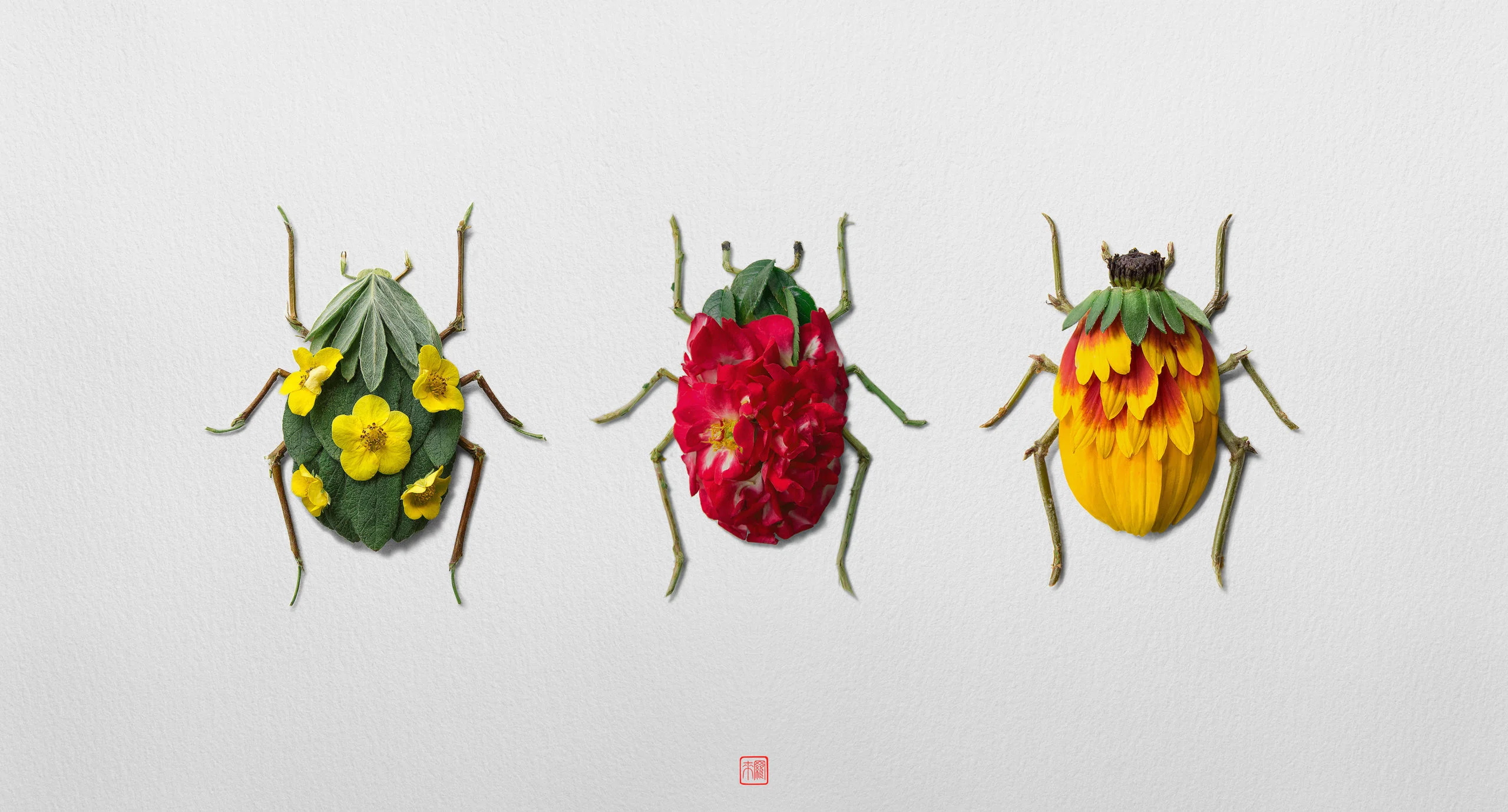 Les insectes végétaux de Raku Inoue