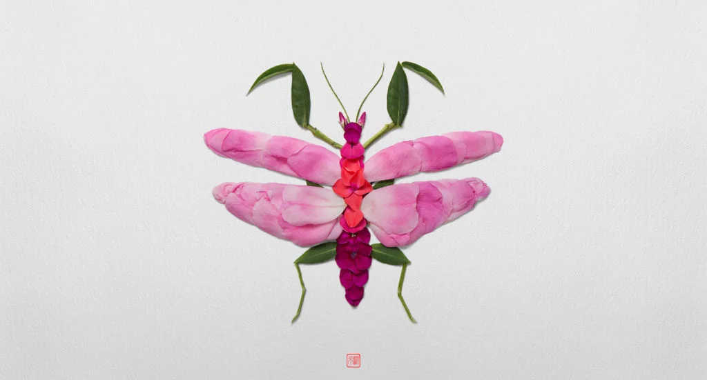 Insecte végétal 