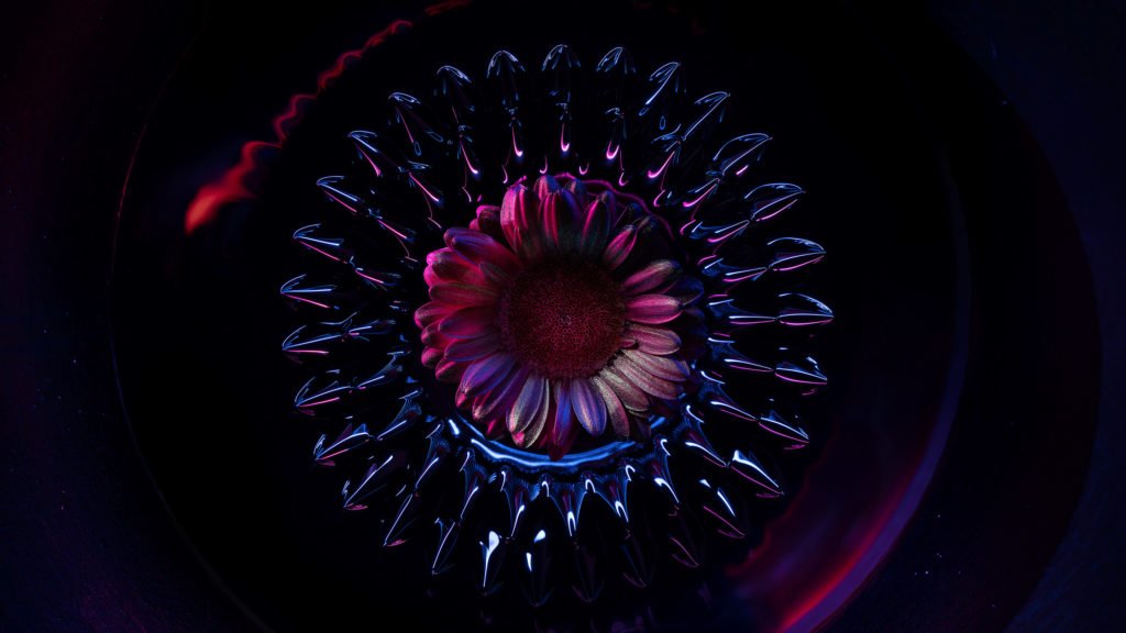 Les Ferro Flowers de Desktopography