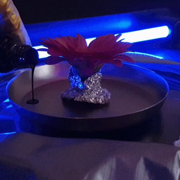 Les Ferro Flowers de Desktopography