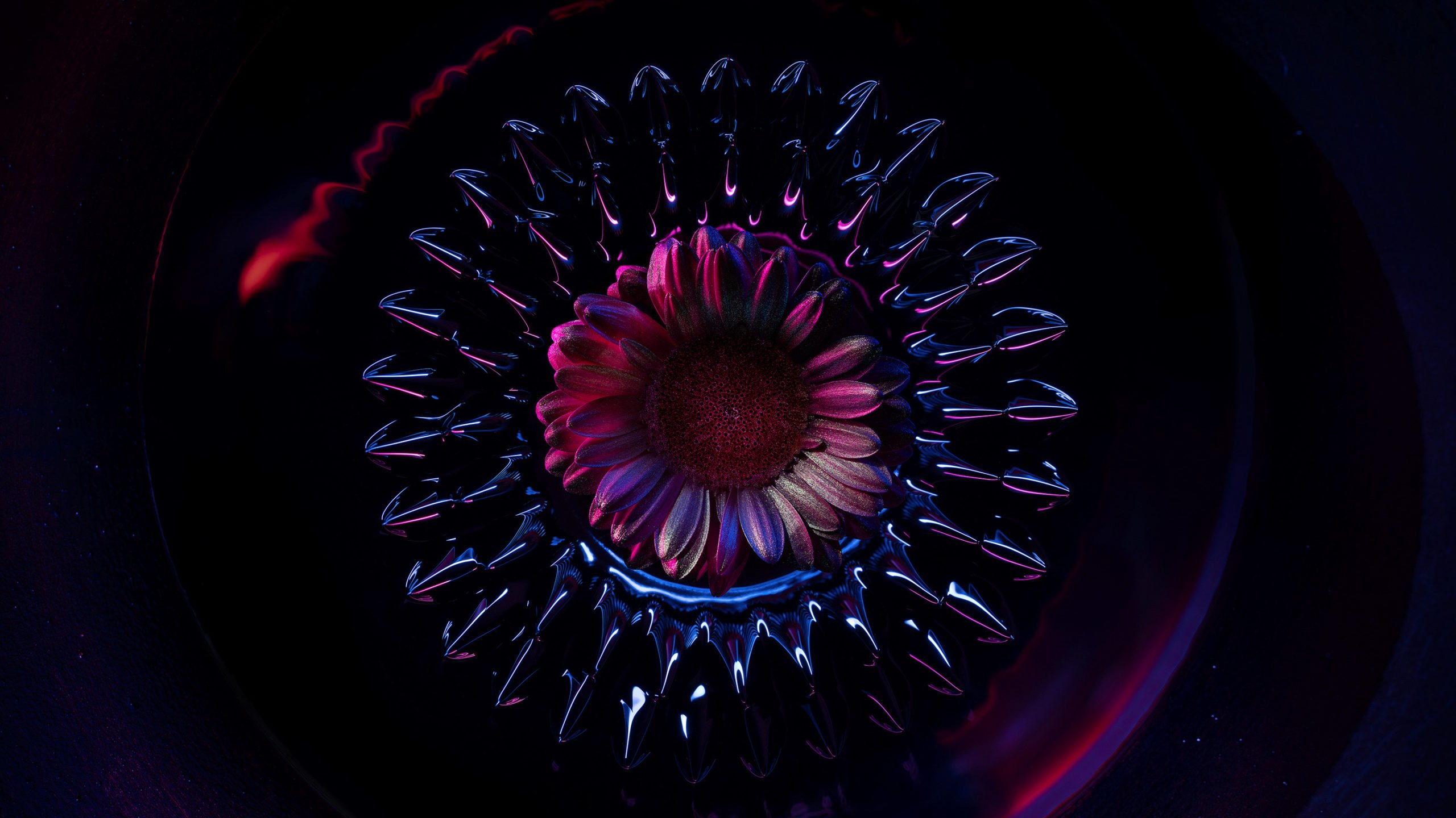 Les Ferro Flowers de Desktopography