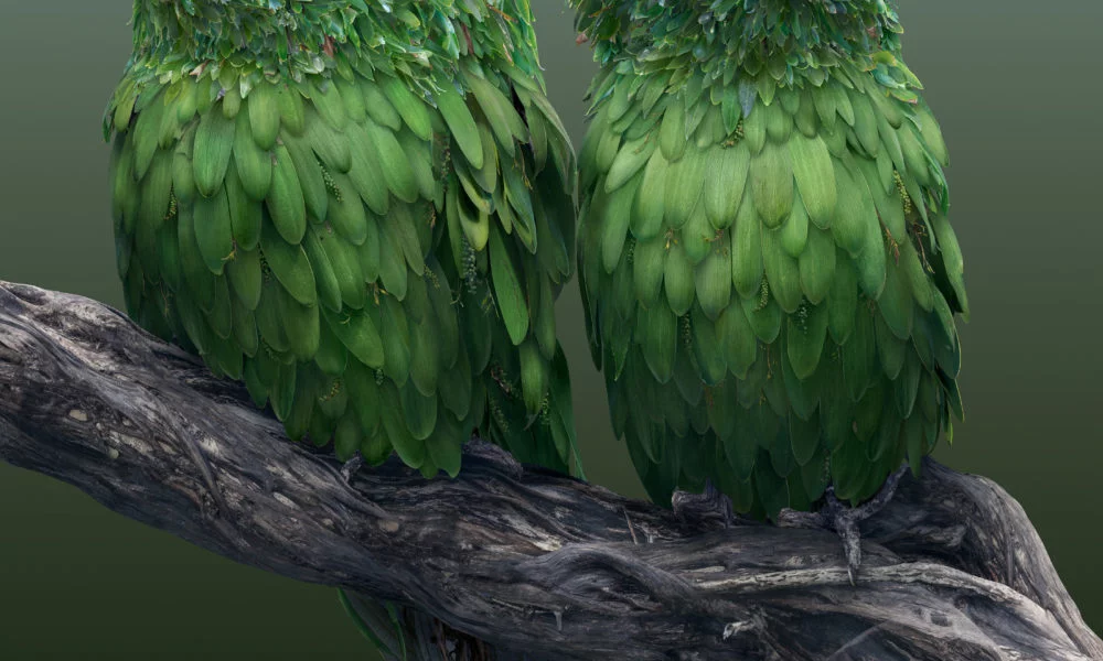 Les animaux hybrides de Josh Dykgraaf