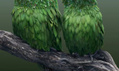 Les animaux hybrides de Josh Dykgraaf