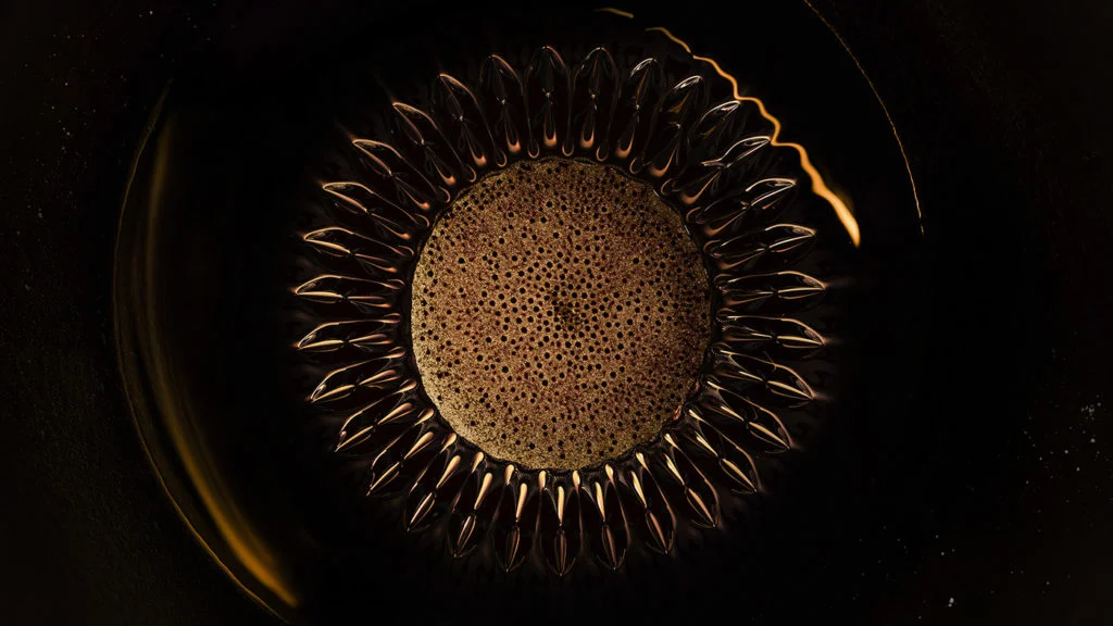 Les Ferro Flowers de Desktopography