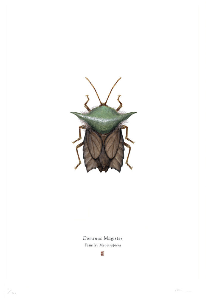 Les insectes d’une galaxie lointaine par Richard Wilkinson