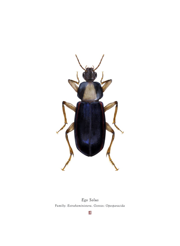 Les insectes d’une galaxie lointaine par Richard Wilkinson