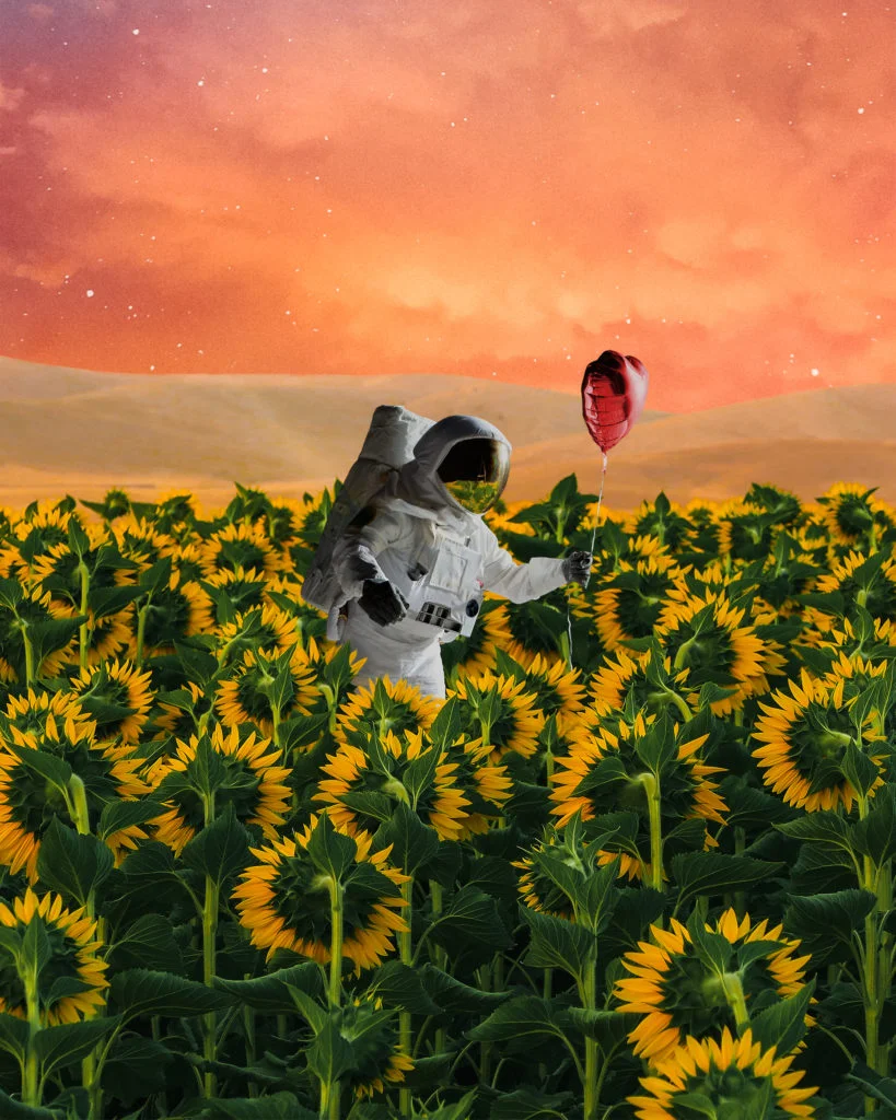 Les photomanipulations par Ersin Acır