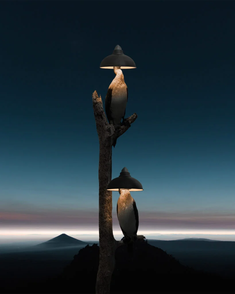 Les photomanipulations par Ersin Acır