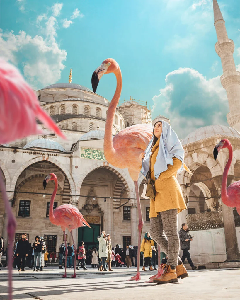 Les photomanipulations par Ersin Acır