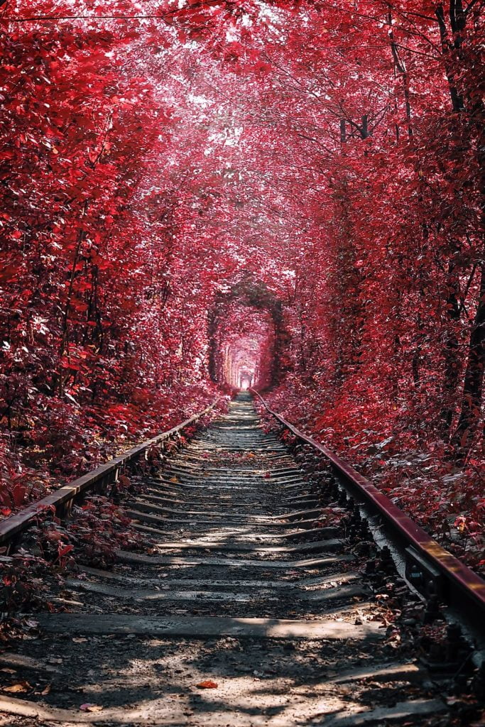 Le Tunnel of Love en Ukraine photographie