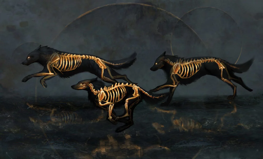 Les illustrations noir et or par Jade Merien