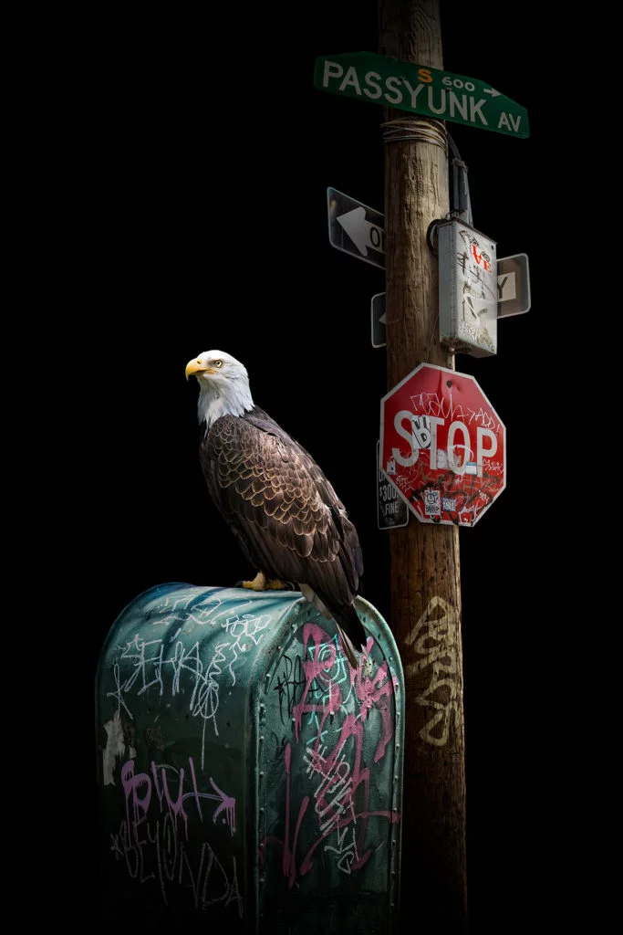 «Guardians» - Hommage à la ville de Philadelphie, et créé comme un avantage pour le Fleisher Art Memorial. Nick Pedersen