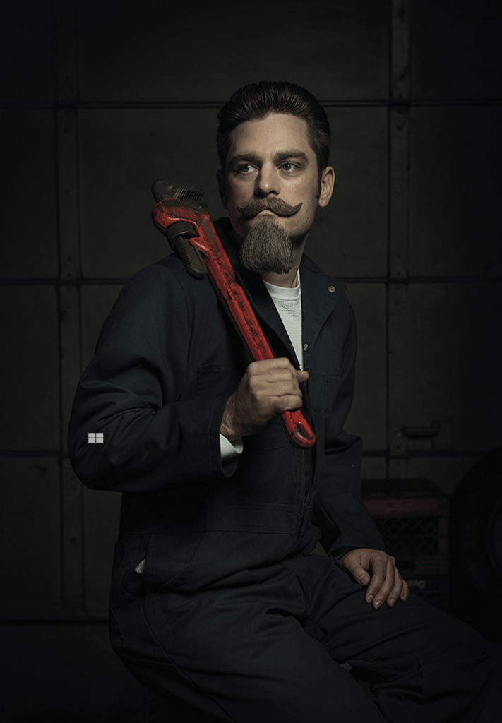The Renaissance Series par Freddy Fabris