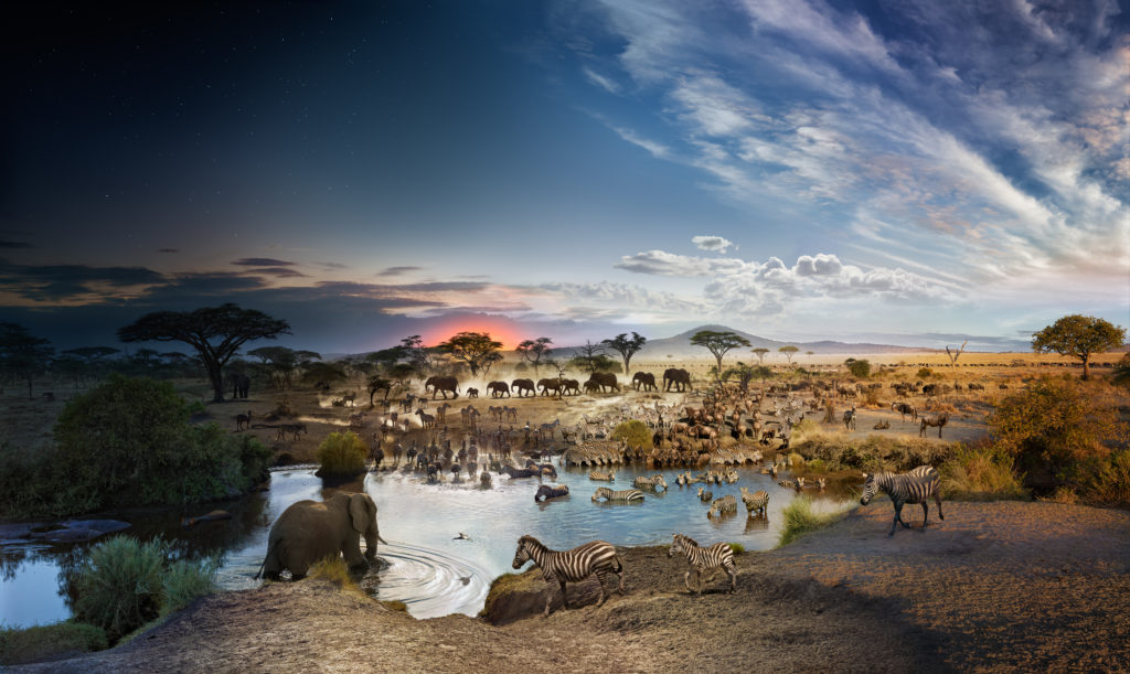 Day to Night par Stephen Wilkes