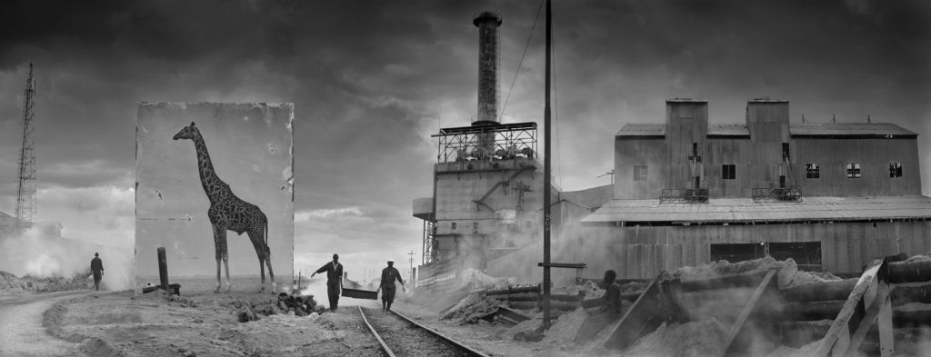 La disparition de la faune africaine par Nick Brandt